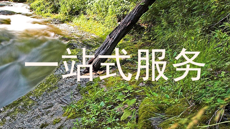一站式服务