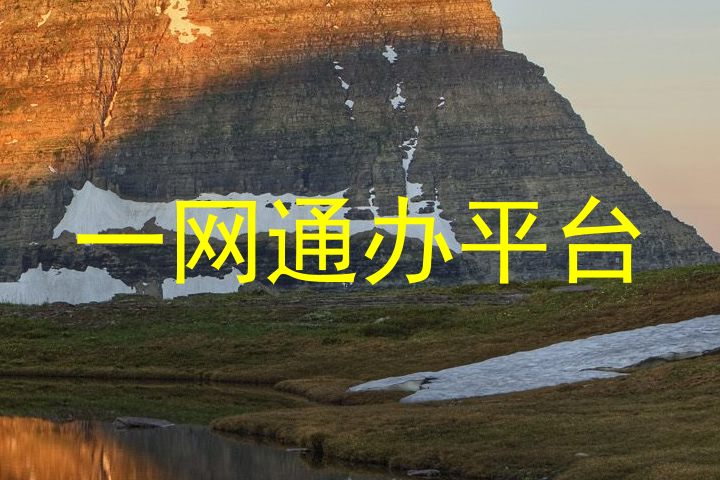 一网通办平台