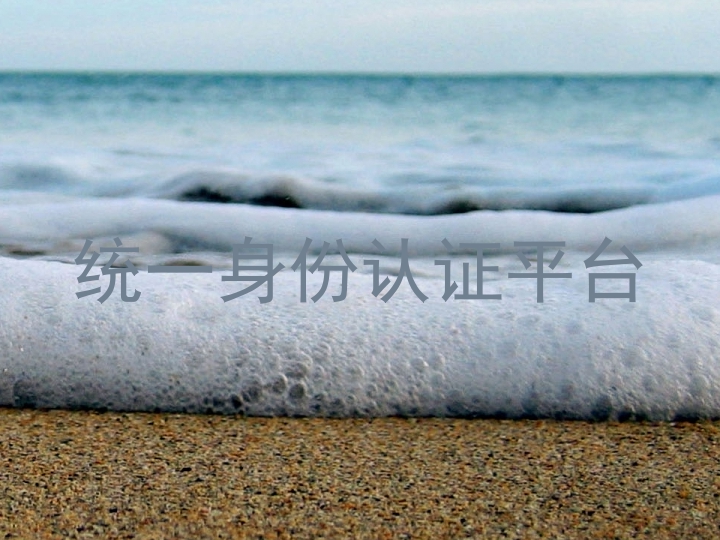 统一身份认证平台