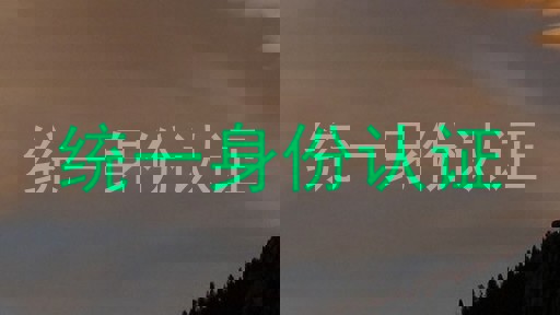 统一身份认证