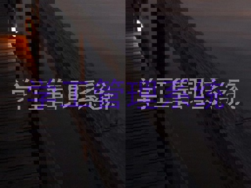 学工管理系统