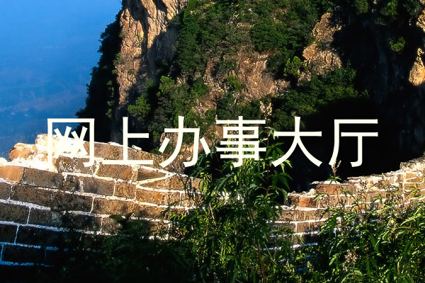 网上办事大厅