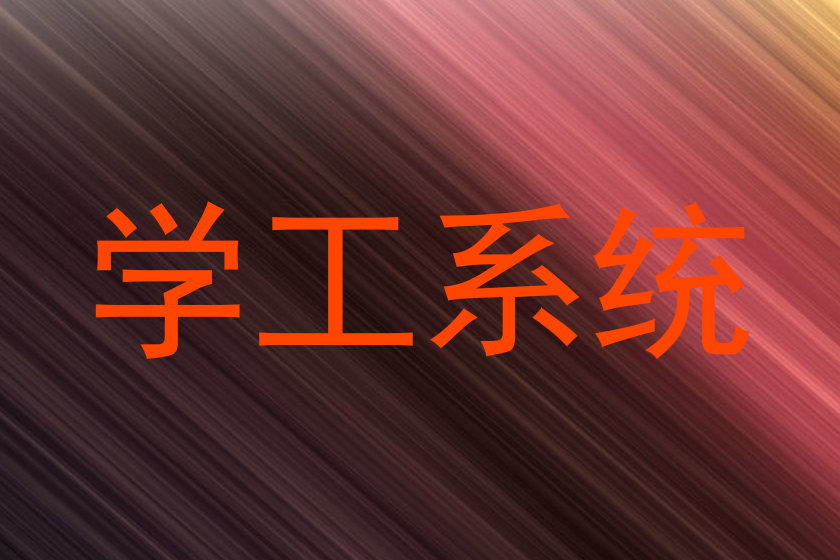 学工系统