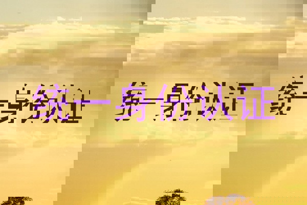 统一身份认证