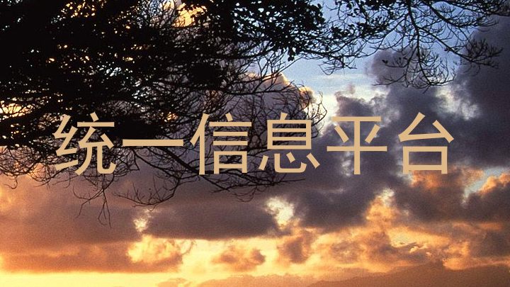 统一信息平台