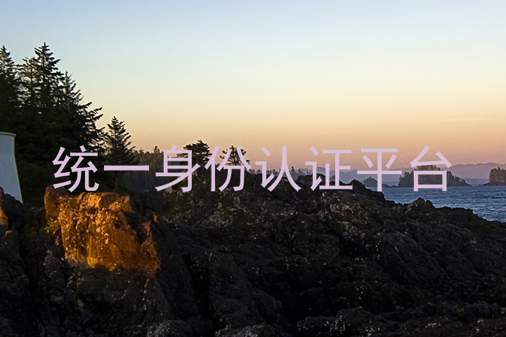 统一身份认证平台