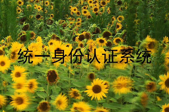 统一身份认证系统