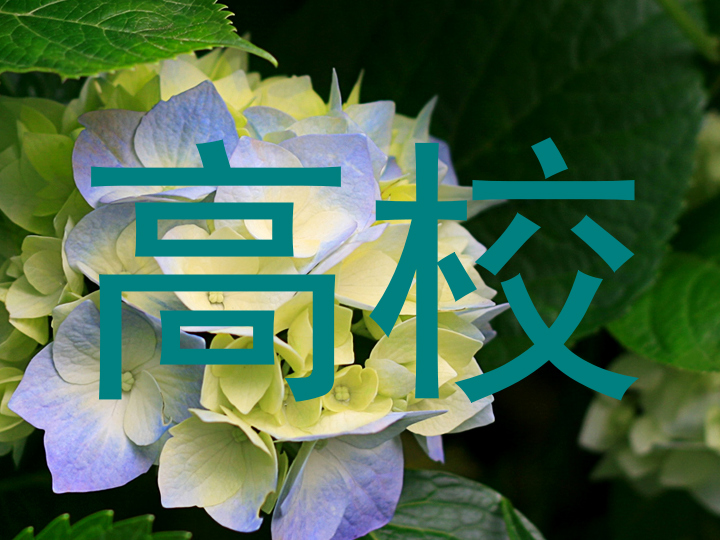 高校