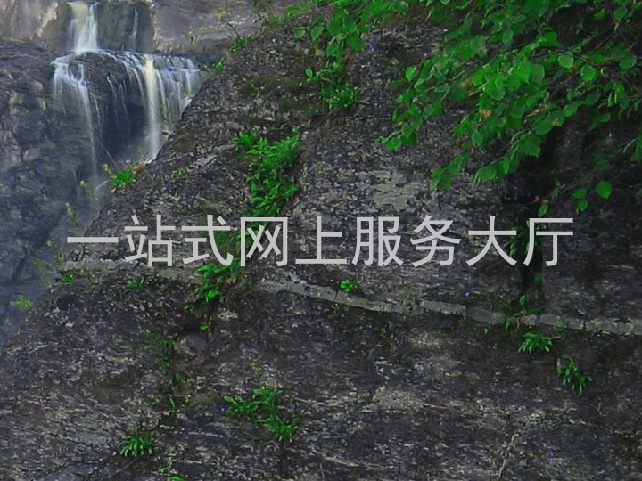 一站式网上服务大厅