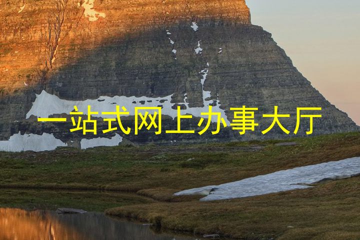 一站式网上办事大厅