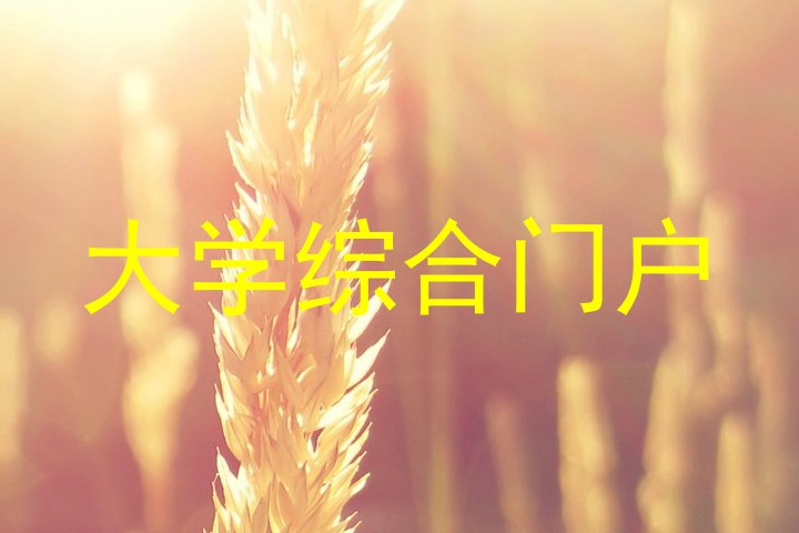 大学综合门户