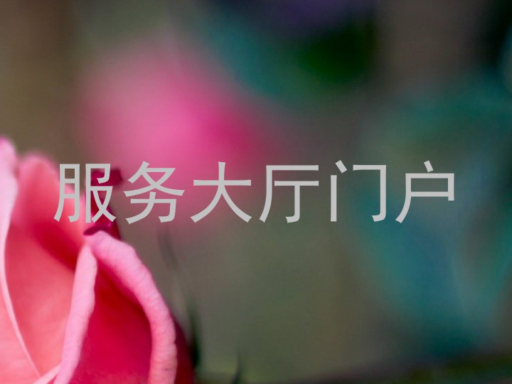 服务大厅门户