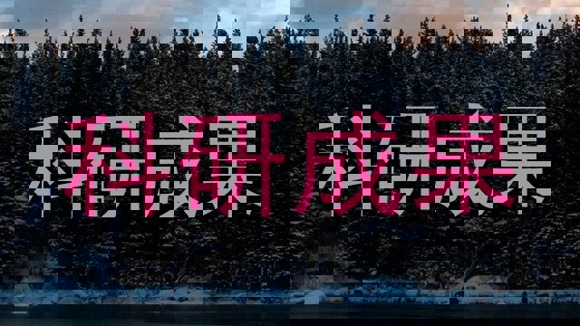 科研成果