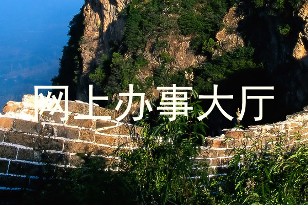网上办事大厅