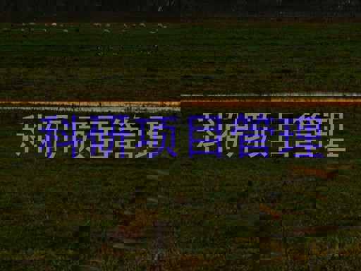 科研项目管理