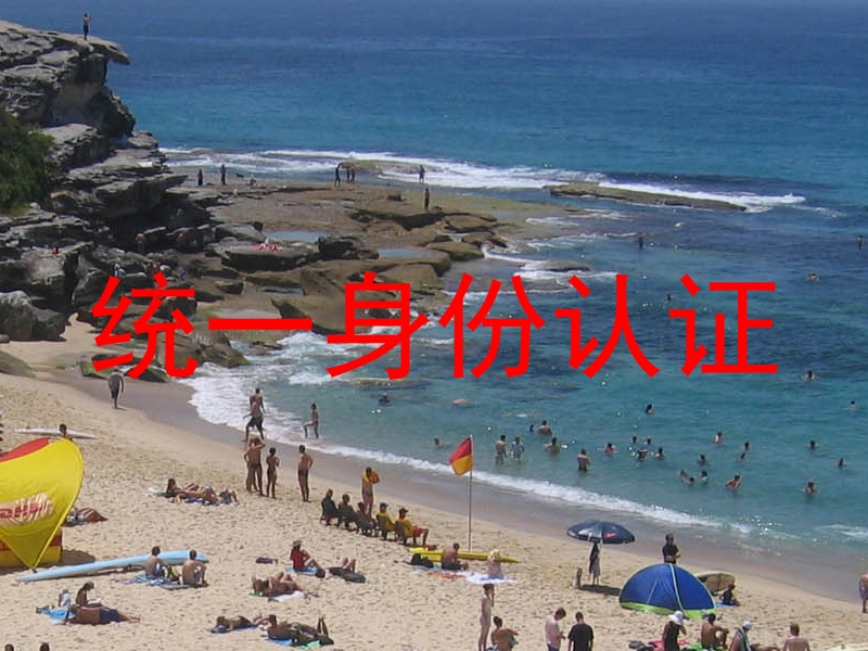 统一身份认证