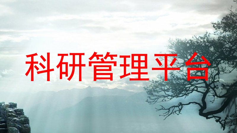 科研管理平台