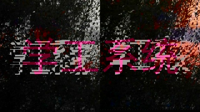 学工系统