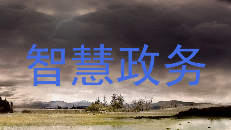 智慧政务