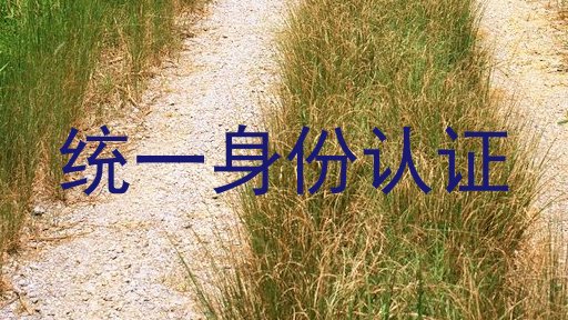 统一身份认证