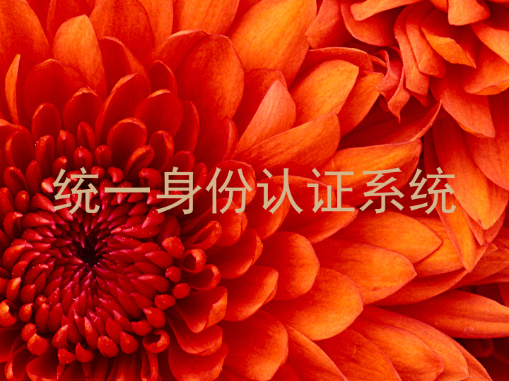 统一身份认证系统