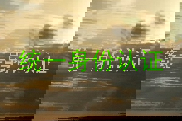 统一身份认证
