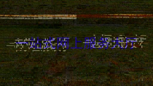 一站式网上服务大厅