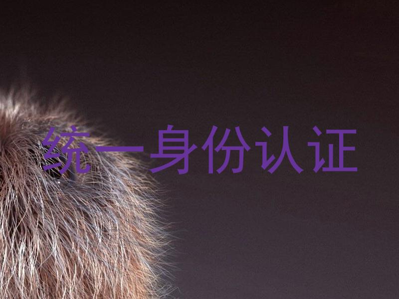 统一身份认证