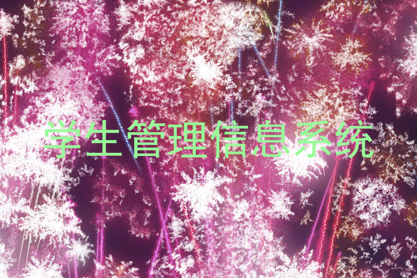 学生管理信息系统