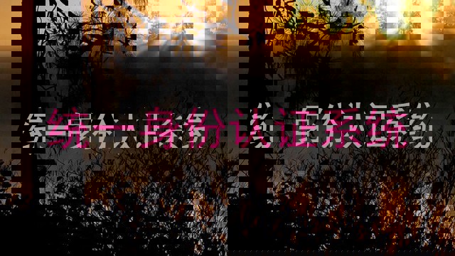 统一身份认证系统