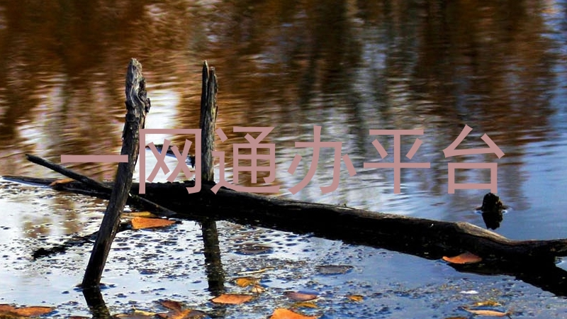 一网通办平台