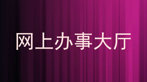 网上办事大厅