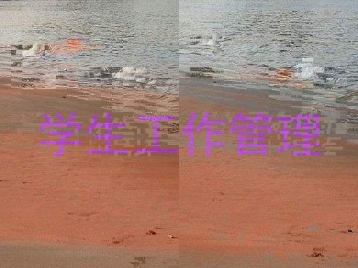 学生工作管理