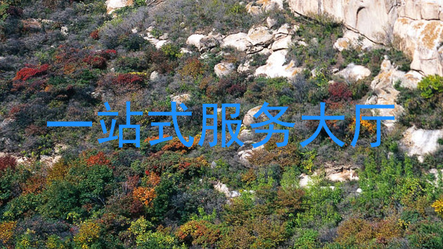 一站式服务大厅