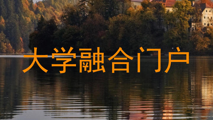 大学融合门户