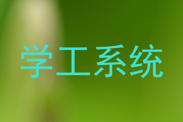 学工系统