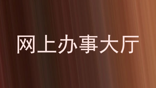 网上办事大厅