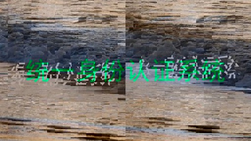 统一身份认证系统