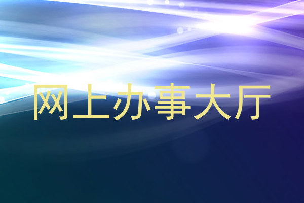 网上办事大厅