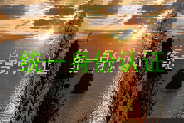 统一身份认证