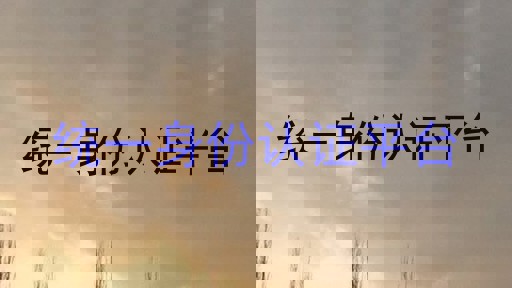 统一身份认证平台
