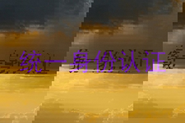 统一身份认证
