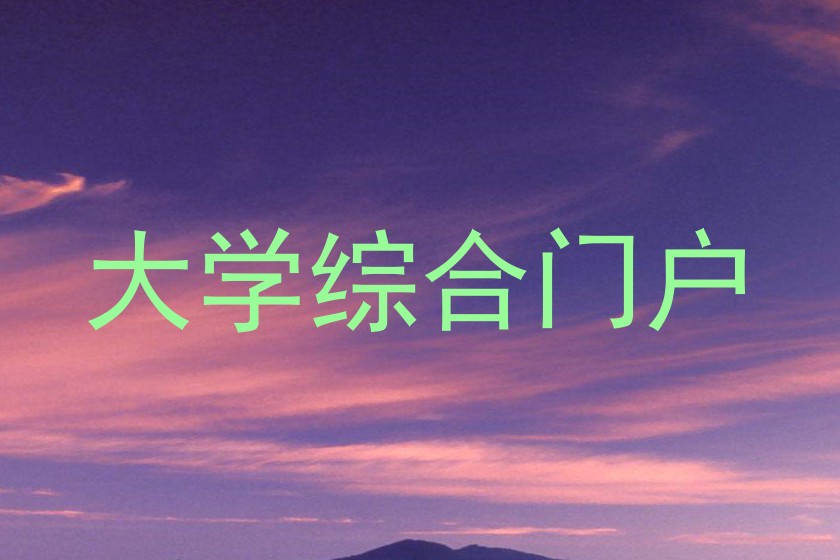 大学综合门户