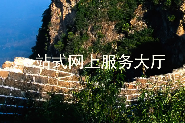 一站式网上服务大厅