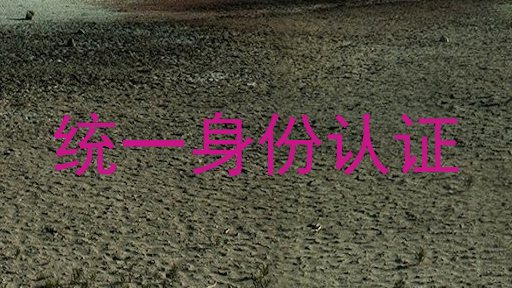 统一身份认证