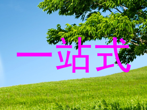 一站式