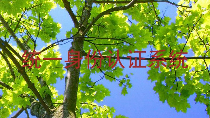 统一身份认证系统
