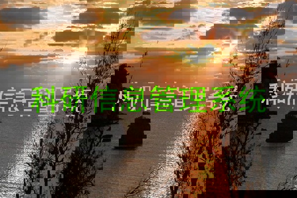 科研信息管理系统