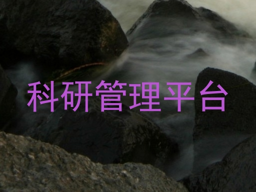 科研管理平台