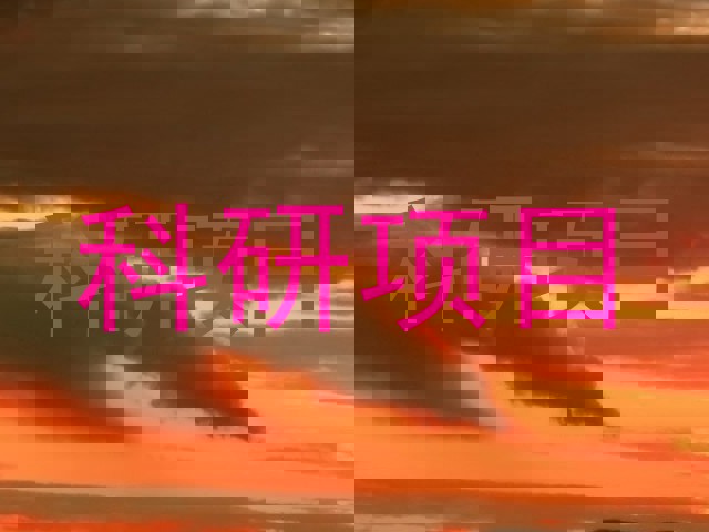 科研项目